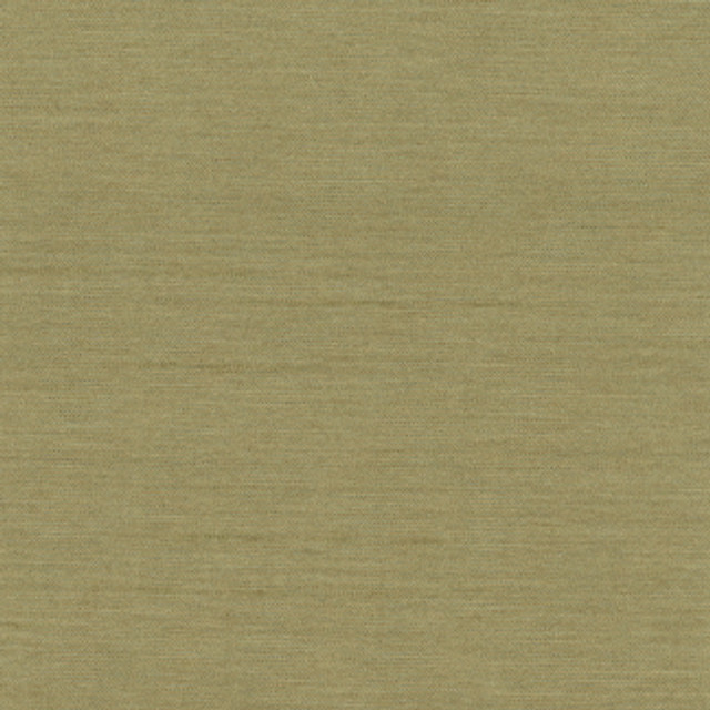 Carole Fabric Northwind Sage New Northwind Iii 100% Polyester India Passes 9,000 Double Rubs Wyznebeek Horizontal: 0" and Vertical: 0" 54" - My Fabric Connection -