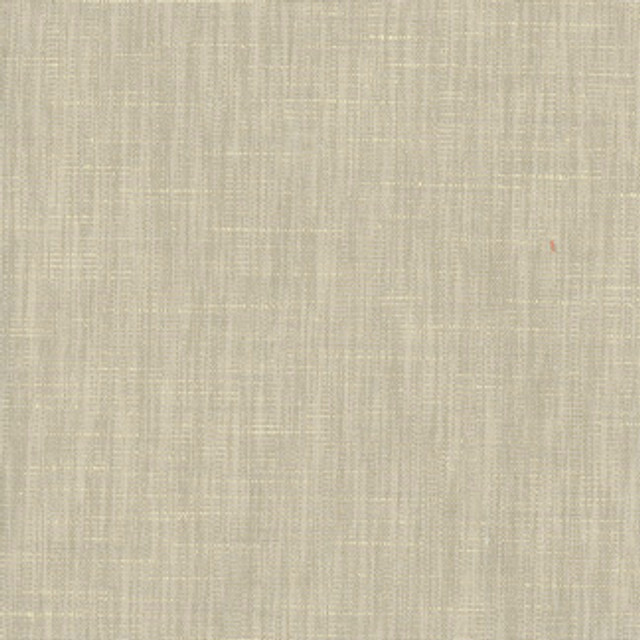 Carole Fabric Dignity Suede Dignity 83% Polyester, 17% Cotton India Passes 50,000 Double Rubs Wyzenbeek Horizontal: 0" and Vertical: 0" 54" - My Fabric Connection -