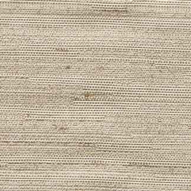 Carole Fabric Aiden Natural Subtle Hints,Aiden Gallery 100% Polyester INDIA PASSES 30,000 DOUBLE RUBS WYZENBEEK Horizontal: 0" and Vertical: 0" 56" - My Fabric Connection -