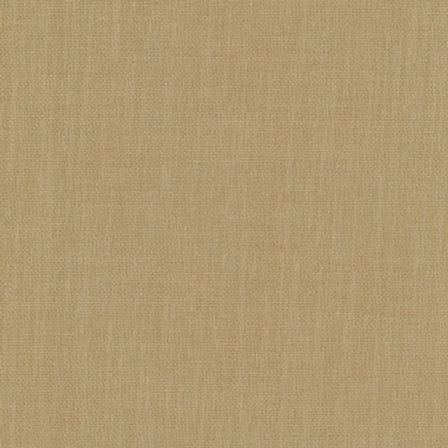 Carole Fabric Liberty Cashew Liberty 100% Polyester India Passes 50,000 Double Rubs Wyzenbeek Horizontal: 0" and Vertical: 0" 54" - My Fabric Connection -