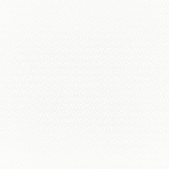 Carole Fabric Girls Night Out White WINNER'S CIRCLE 100% Polyester Turkey Passes 15,000 Double Rubs Wyzenbeek Horizontal: 1 1/2" D and Vertical: 2 1/2" 55" - My Fabric Connection -