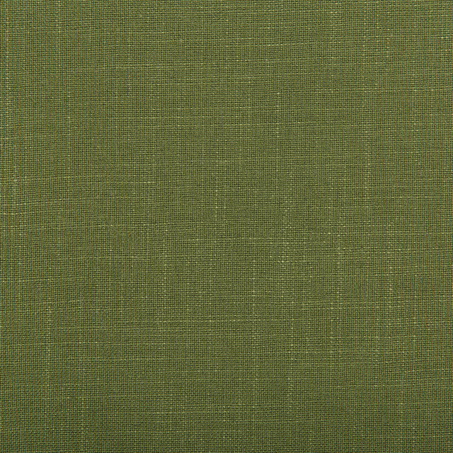 Kravet Design Fabric Aura Vine - VISCOSE - 67%;LINEN - 33% Italy HEAVY Horizontal: 0 and Vertical: 0 55.12 - My Fabric Connection -