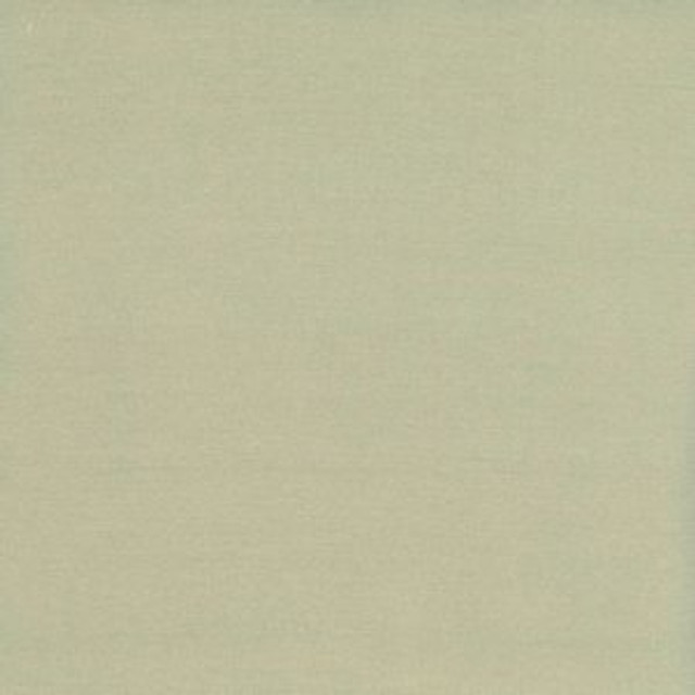 Norbar Fabric Caprio Honeydew 100% POLYESTER INDIA 54 - My Fabric Connection -