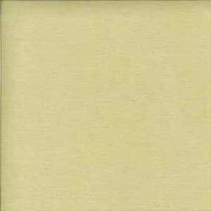 Norbar Fabric Casbah Pistachio 100% POLYESTER INDIA 54" - My Fabric Connection -