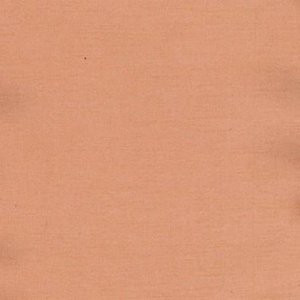 Norbar Fabric Charm Clay 100% POLYESTER INDIA 54" - My Fabric Connection -