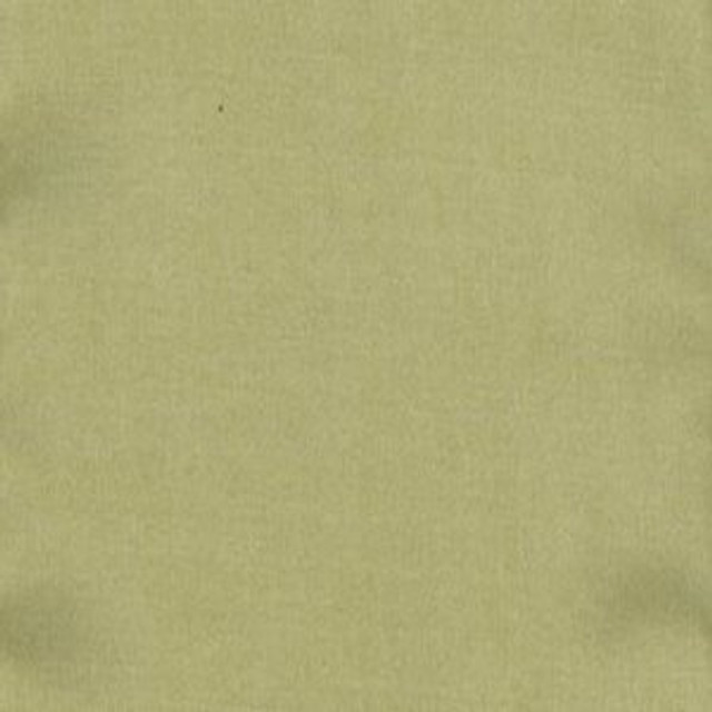 Norbar Fabric Charm Pear 100% POLYESTER INDIA 54" - My Fabric Connection -