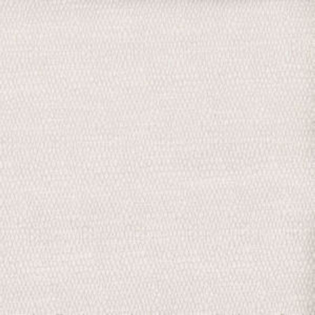 Norbar Fabric Eagle Ivory 66% POLYESTER 34% COTTON INDIA 55 - My Fabric Connection -