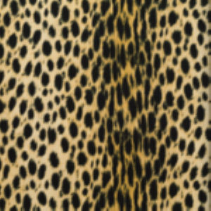 Norbar Fabric Leech Sand 02 EXOTIC 95% POLYESTER / 5% COTTON SPAIN 13 1/2"V - 25"H 55 - My Fabric Connection -