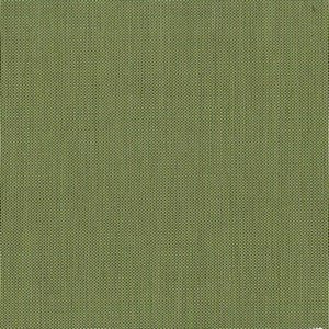 Norbar Fabric Option Sage Green ATRIUM 100% SOLUTION DYED ACRYLIC YN CHINA 55 - My Fabric Connection -