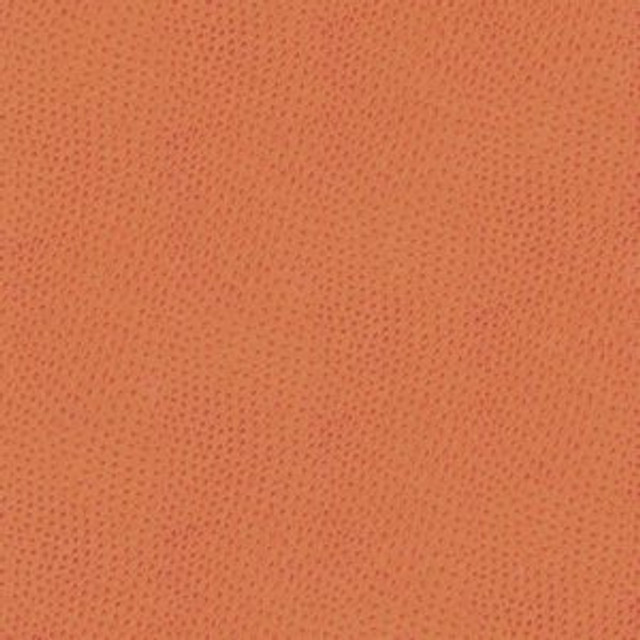 Norbar Fabric Ostrich Orange So 316 100% POLYURETHANE 54 - My Fabric Connection -