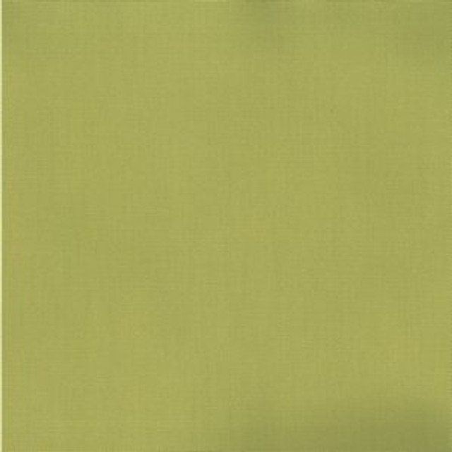 Norbar Fabric Pablo Peat Moss 245 PABLO 100% COTTON TURKMANISTAN 54" - My Fabric Connection -