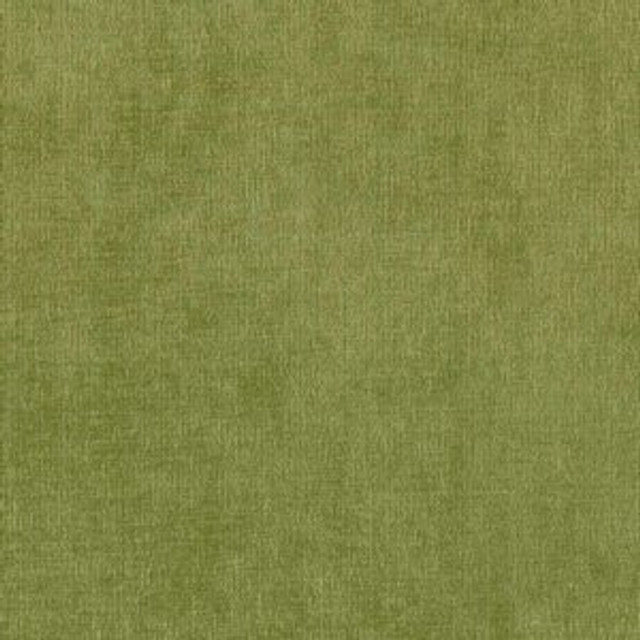 Norbar Fabric Patriot Leaf JAZZ 100% POLYESTER CHINA NA 56" - My Fabric Connection -