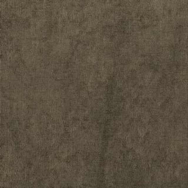 Norbar Fabric Patriot Truffle JAZZ 100% POLYESTER CHINA NA 56" - My Fabric Connection -