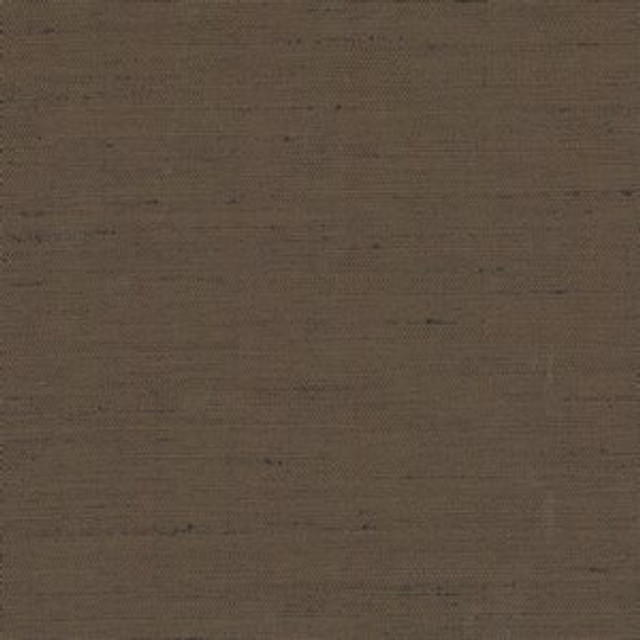Norbar Fabric Ramos Latte 15 100% POLYESTER INDIA 54" - My Fabric Connection -