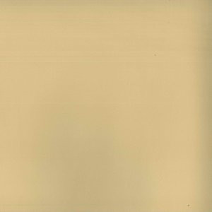 Norbar Fabric Surf Barley ENVICTA 100% POLYURETHANE 54 - My Fabric Connection -