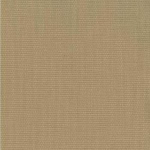 Norbar Fabric Voyage Rawhide 158 100% COTTON 54" - My Fabric Connection -