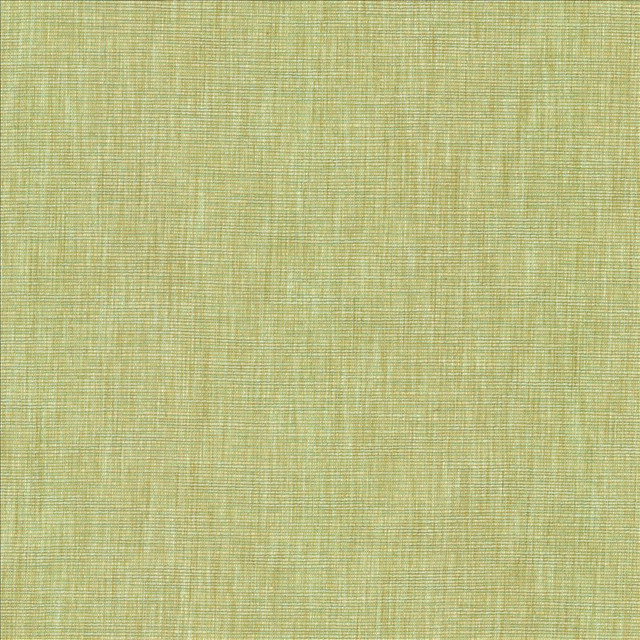 Kasmir Fabric Beltran New Bud 5163 100% Polyester
 INDIA 20,000 Wyzenbeek Double Rubs Horizontal: N/A and Vertical: N/A 54 - My Fabric Connection -