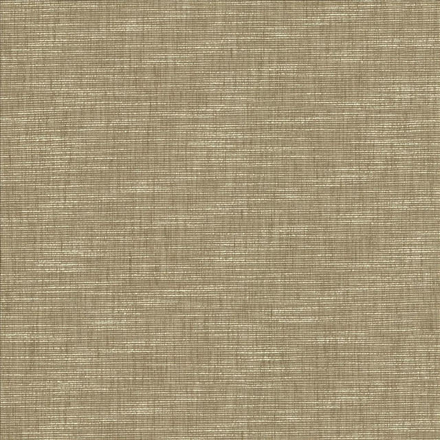 Kasmir Fabric Beltran Skimming Stone 5163 100% Polyester
 INDIA 20,000 Wyzenbeek Double Rubs Horizontal: N/A and Vertical: N/A 54 - My Fabric Connection -