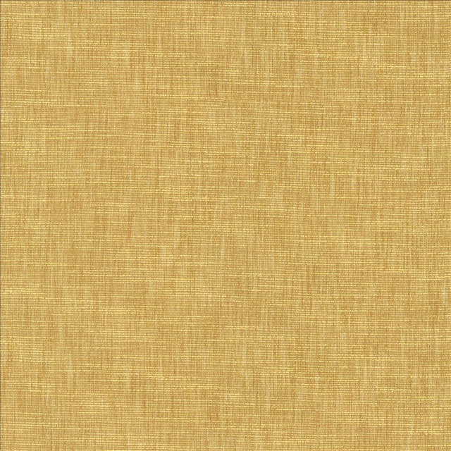 Kasmir Fabric Beltran Wheat 5163 100% Polyester
 INDIA 20,000 Wyzenbeek Double Rubs Horizontal: N/A and Vertical: N/A 54 - My Fabric Connection -