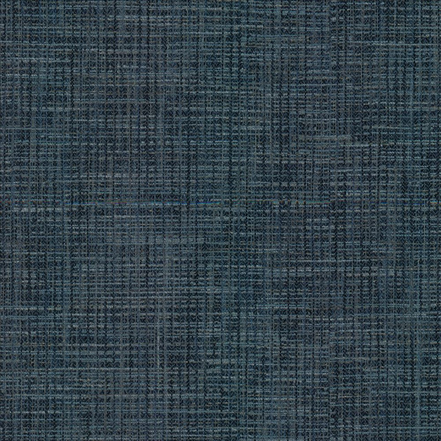 Kasmir Fabric Katniss Admiral 1461 86% Polyester
14% Rayon
 INDIA 100,000 Wyzenbeek Double Rubs Horizontal: N/A and Vertical: N/A 57 - My Fabric Connection -