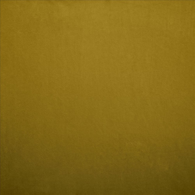 Kasmir Fabric Nampara Antique Gold 5167 100% Polyester
 CHINA 105,000 Wyzenbeek Double Rubs Horizontal: N/A and Vertical: N/A 58 - My Fabric Connection -