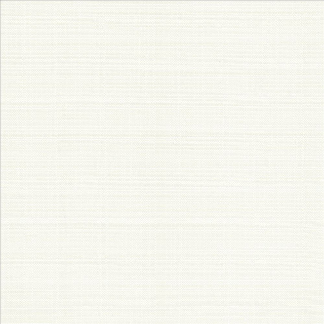 Kasmir Fabric Resilient White 5173 100% Polyester
 CHINA 100,000 Wyzenbeek Double Rubs Horizontal: N/A and Vertical: N/A 54 - My Fabric Connection -