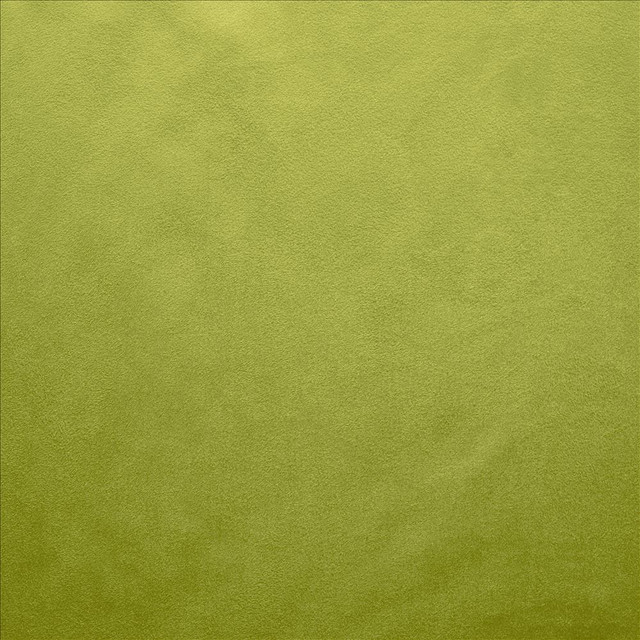 Kasmir Fabric Retrospective Iguana 5169 100% Polyester
 CHINA 60,000 Wyzenbeek Double Rubs Horizontal: N/A and Vertical: N/A 58 - My Fabric Connection -