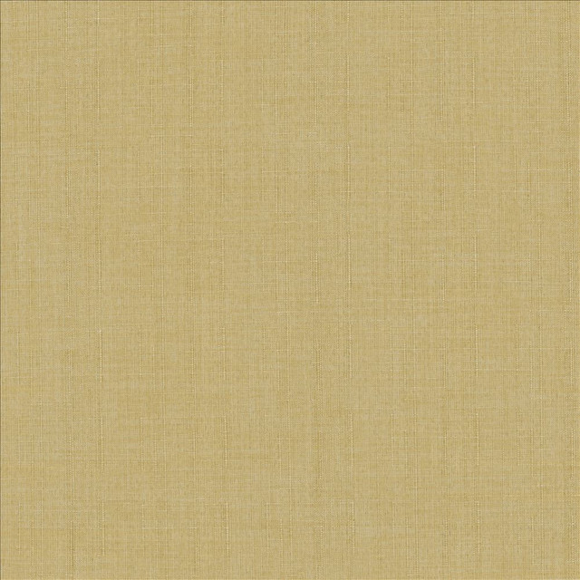 Kasmir Fabric Robust Buff 5173 100% Polyester
 CHINA 81,000 Wyzenbeek Double Rubs Horizontal: N/A and Vertical: N/A 54 - My Fabric Connection -