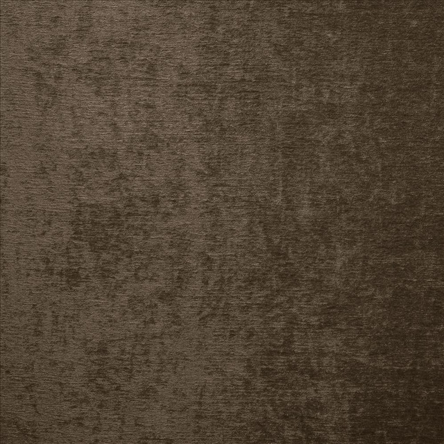 Kasmir Fabric Splendid Chocolate 5172 100% Polyester
 INDIA 80,000 Wyzenbeek Double Rubs Horizontal: N/A and Vertical: N/A 55 - My Fabric Connection -