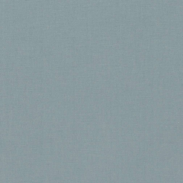 Charlotte Fabric D1259 Mist Washed Denims & Twills 100% Cotton, 13oz. sq yd USA Exceeds 25,000 Wyzenbeek Rubs (Heavy Duty) No Repeat 54 Inches - My Fabric Connection -