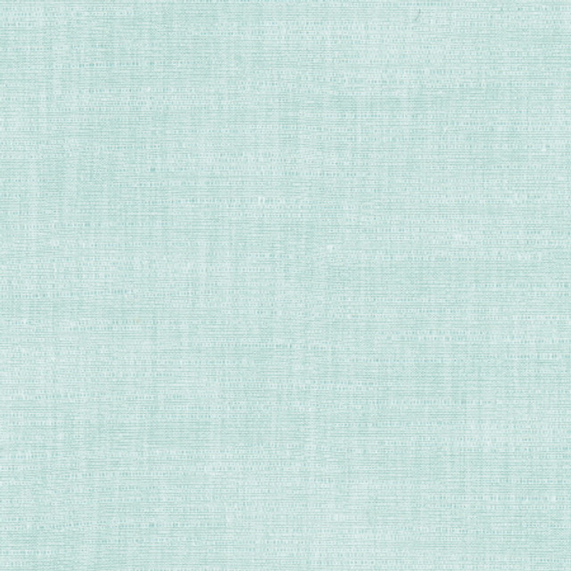 Carole Fabric Athlete River Celadon 60% Cotton, 40% Polyester India Passes 50,000 Double Rubs Wyzenbeek </p><p>Repeat: None 55" - My Fabric Connection -
