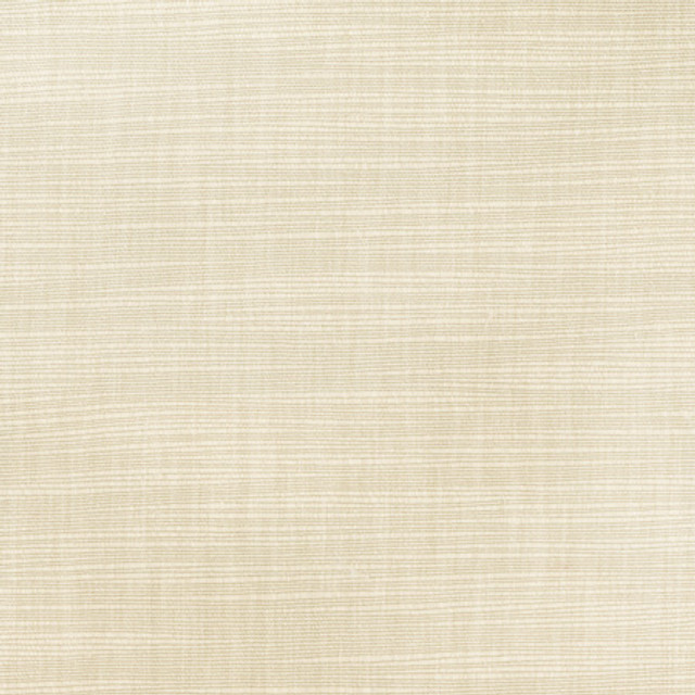 Carole Fabric Athlete Cashew Opal 60% Cotton, 40% Polyester India Passes 50,000 Double Rubs Wyzenbeek </p><p>Repeat: None 55" - My Fabric Connection -