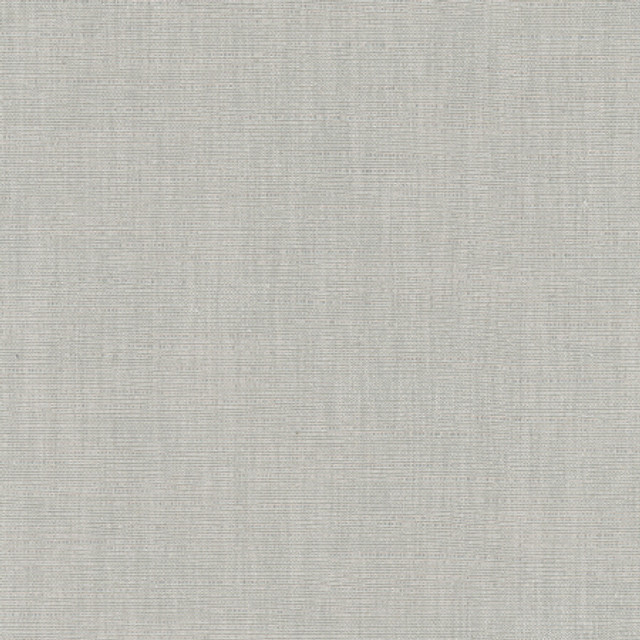 Carole Fabric Athlete Sterling Pewter 60% Cotton, 40% Polyester India Passes 50,000 Double Rubs Wyzenbeek </p><p>Repeat: None 55" - My Fabric Connection -