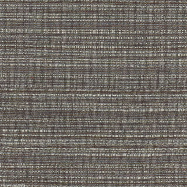 Carole Fabric Emmeline Graphite Lydia II 100% Polyester India N/A </p><p>Repeat: None 54" - My Fabric Connection -