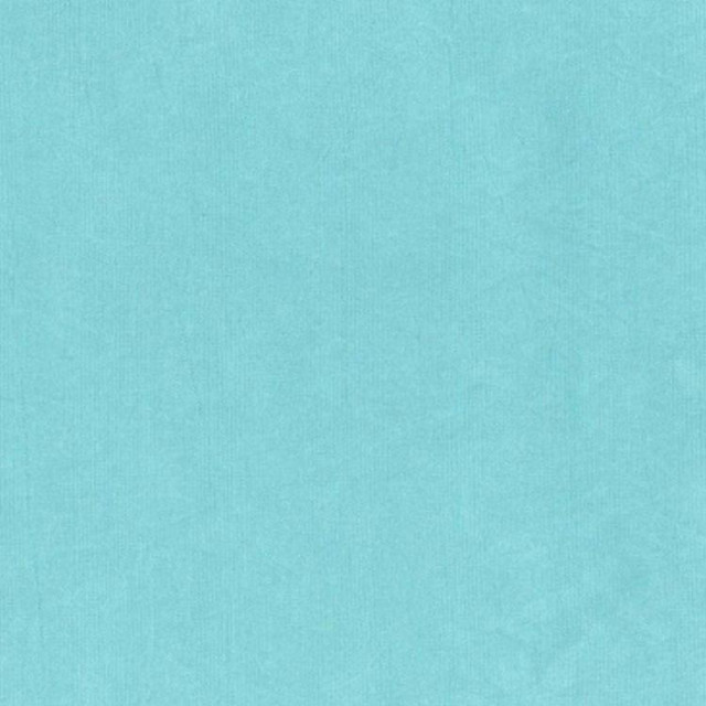 RM CoCo Fabric No Nonsense Spa Color My World - Water 55% POLYESTER 45% NYLON Horizontal: 0 and Vertical: 0 59 - My Fabric Connection -