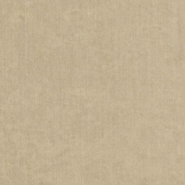 RM CoCo Fabric Kindness Cider Color Festival - Wind 50% POLYESTER 50% NYLON Horizontal: 0 and Vertical: 0 57 - My Fabric Connection - RM CoCo Fabric Kindness Cider Color Festival - Wind 50% POLYESTER 50% NYLON Horizontal: 0 and Vertical: 0 57 - My Fabric Connection -