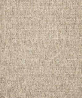 Barrow Fabric Throttle 11001 M10520R 19CL04 69% POLYESTER FILAMENT NON-TEXTURED
31% POLYESTER FILAMENT-TEXTURED CHINA 21,000 DOUBLE RUBS </p><p>Repeat: Horizontal: and Vertical: 54" Minimum - My Fabric Connection -