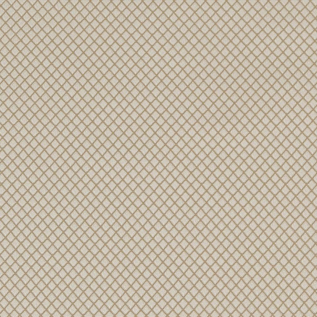 Charlotte Fabric D1548 Champagne Diamond Elegant Damasks 100% Woven Polyester Turkey Exceeds 50,000 Wyzenbeek Rubs (Heavy Duty) No Repeat 54 Inches - My Fabric Connection -