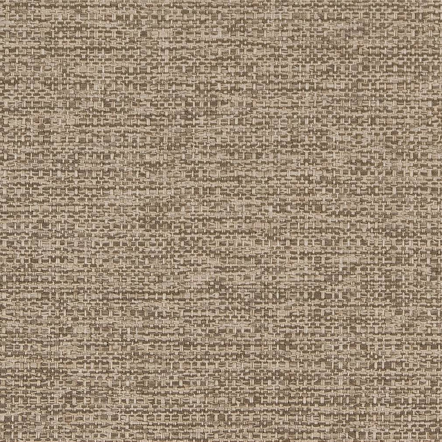Charlotte Fabric D1598 Taupe Eco Plains 100% Woven Polypropylene Made In USA Exceeds 60,000 Wyzenbeek Rubs (Heavy Duty) No Repeat 54 Inches - My Fabric Connection -