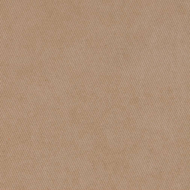 Charlotte Fabric D1793 Fawn Classic Velvet 100% Woven Polyester Asia Exceeds 200,000 Wyzenbeek Rubs (Heavy Duty) No Repeat 54 Inches - My Fabric Connection -
