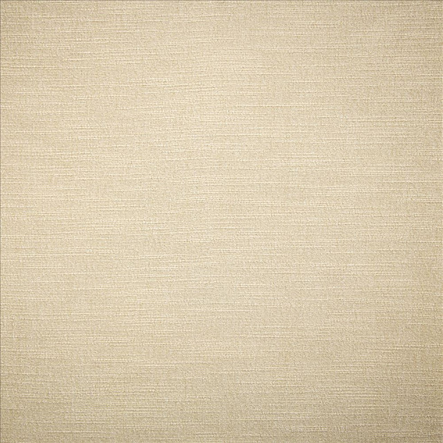 Kasmir Fabric Evermore Moon 5179 100% Polyester
 INDIA </p><p>Repeat: Horizontal: N/A and Vertical: N/A 54 - My Fabric Connection -