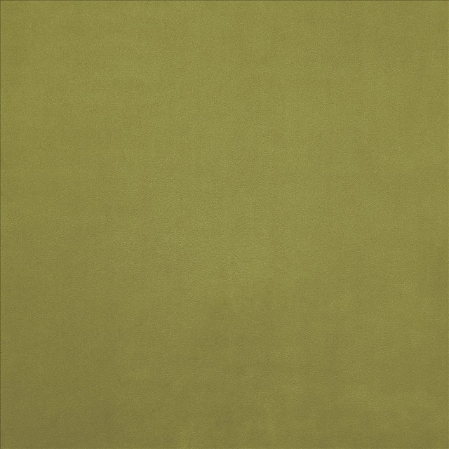 Kasmir Fabric Knockout Gecko 5177 100% Polyester
 CHINA </p><p>Repeat: Horizontal: N/A and Vertical: N/A 54 - My Fabric Connection -