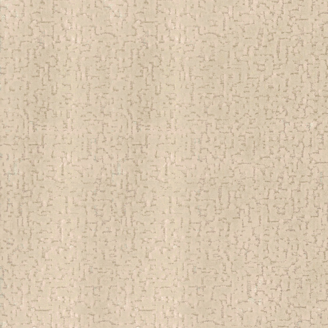 Norbar Fabric Osborne Champagne RITZ 88% VISCOSE 12% POLYESTER INDIA 8 3/4"V 7"H 56 - My Fabric Connection -
