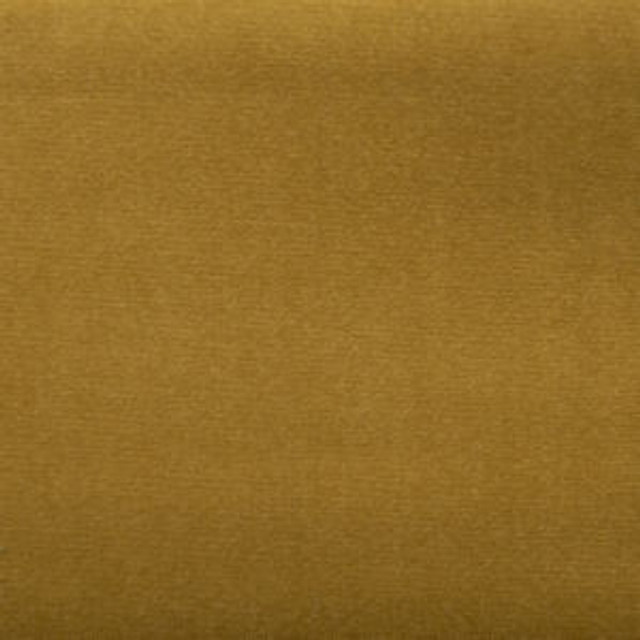 Norbar Fabric Sonic Lion SONIC 100% POLYESTER CHINA 57 - My Fabric Connection -