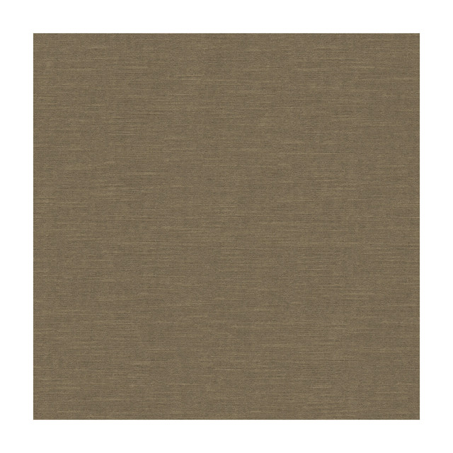 Kravet Design Fabric Venetian Putty - RAYON - 49%;COTTON - 42%;POLYESTER - 9% United States HEAVY Horizontal: - and Vertical: - 54 - My Fabric Connection -