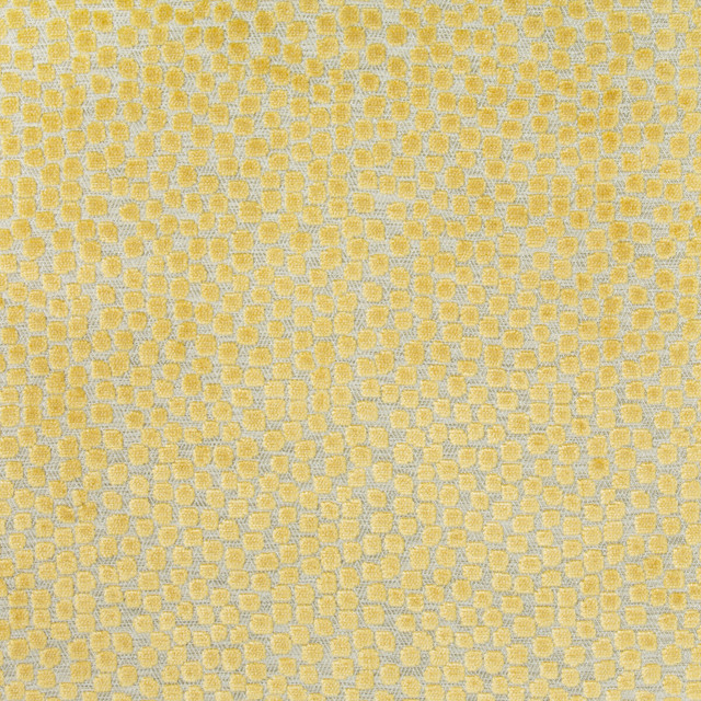 Kravet Design Fabric Flurries Citrine THOM FILICIA ALTITUDE POLYESTER - 50%;VISCOSE - 50% India HEAVY Horizontal: 7 and Vertical: 5.25 54 - My Fabric Connection -