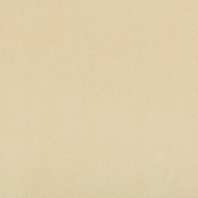 Kravet Contract Fabric Madison Velvet Papyrus - POLYESTER - 100% Turkey HEAVY Horizontal: - and Vertical: - 55 - My Fabric Connection -