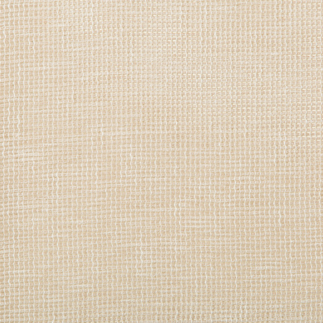 Kravet Basics Fabric 4675-16 COTTON - 50%;POLYESTER - 50% India Horizontal: 0 and Vertical: 0 54 - My Fabric Connection -