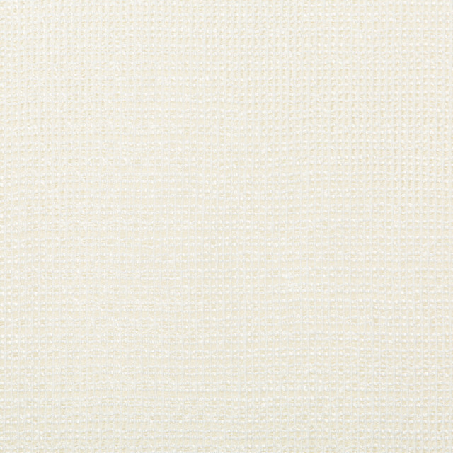Kravet Basics Fabric 4676-1 POLYESTER - 85%;COTTON - 15% India Horizontal: 0 and Vertical: 0 54 - My Fabric Connection -