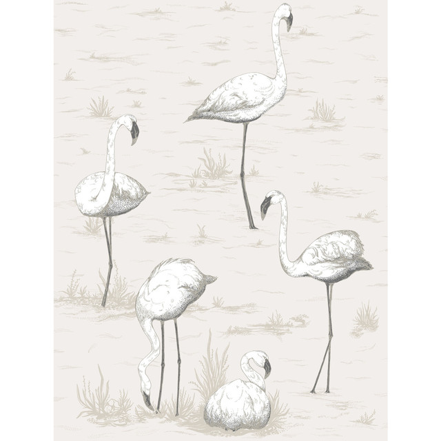 Cole & Son Wallcovering Flamingos Charcoal/Wht CONTEMPORARY RESTYLED PAPER - 100% United Kingdom - Horizontal: 21 and Vertical: 27.5 21 - My Fabric Connection -